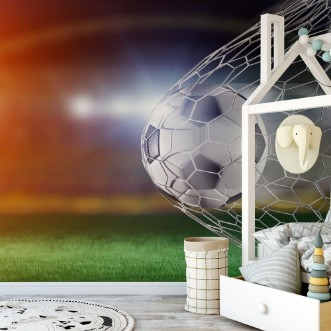 Image de Football Finding the Net