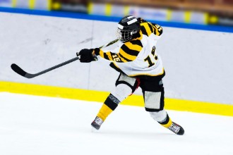 Ritratt ta’ Slap Shot
