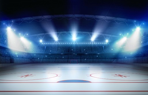 Ice Hockey Stadium photowallpaper Scandiwall