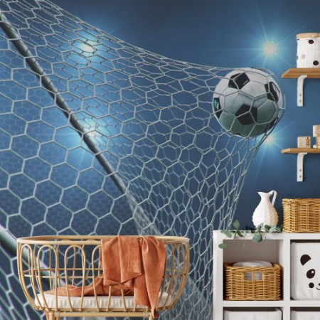 Bild på Football in Goal