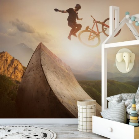 Bild på Biker in Air