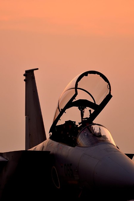 Jetplane Cockpit photowallpaper Scandiwall