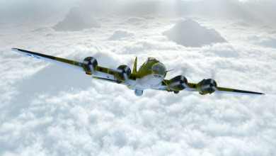 Image de Old School Fighter