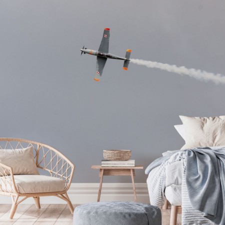 Bild på Acrobatic team jet