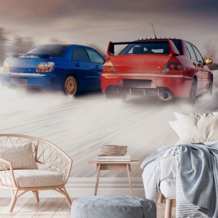 Picture of To biler racer