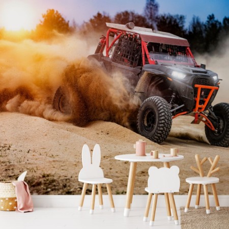 Bild på UTV Buggy in Action