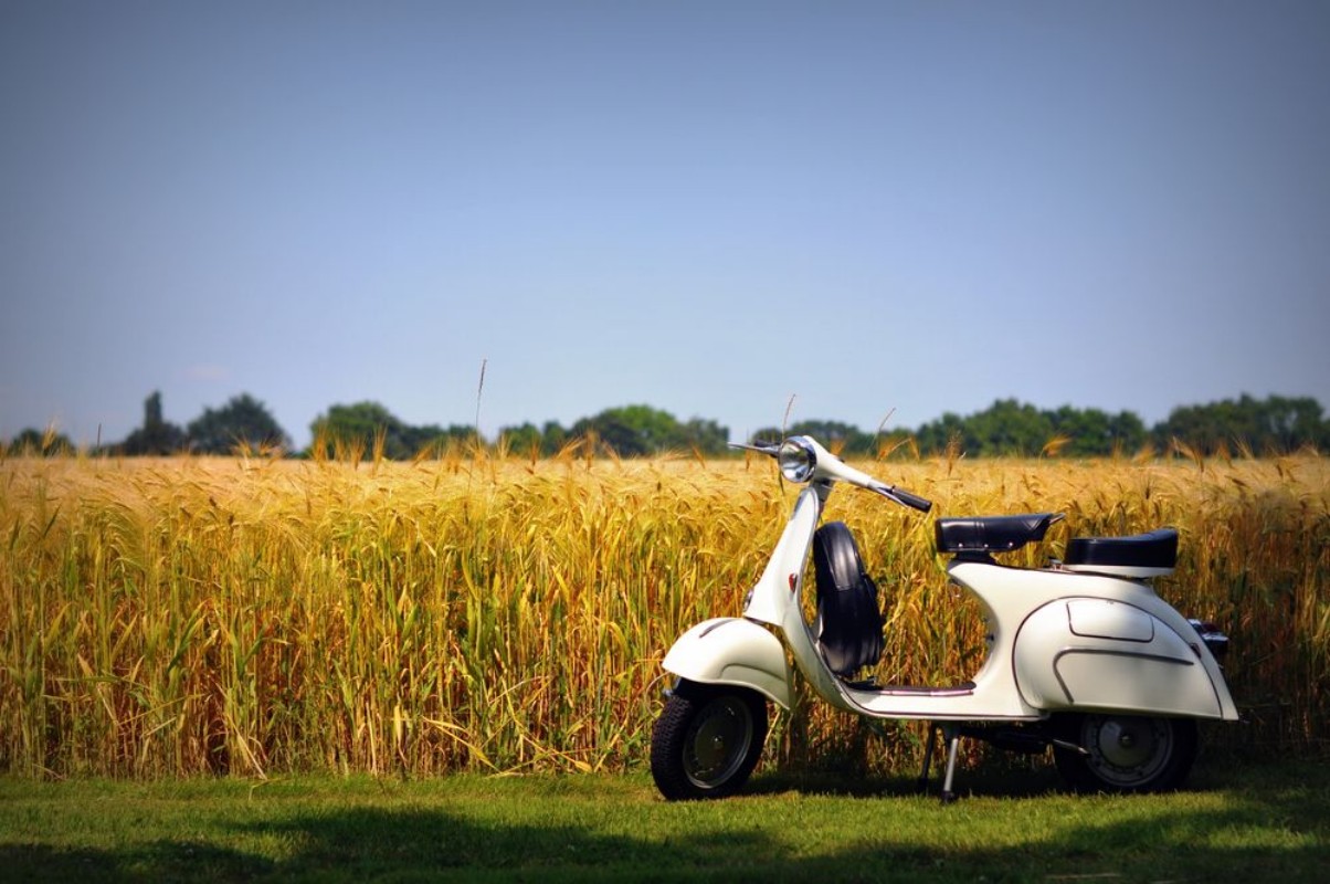 Afbeeldingen van Vespa op het gras
