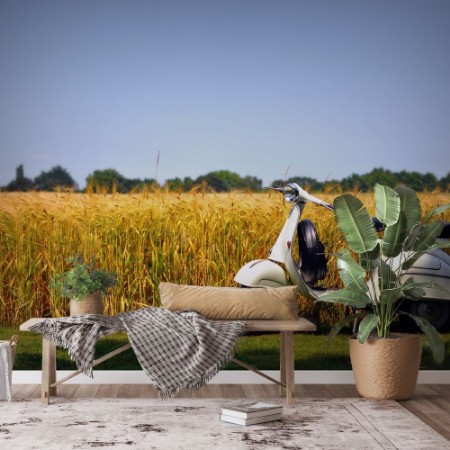 Bild på Vespa på gräs