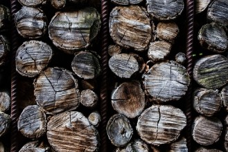 Bild vun Wood