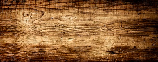 Снимка на A Big Log