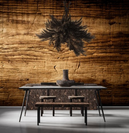 Picture of A Big Log