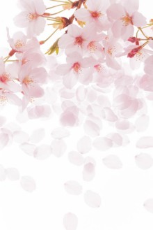 Afbeeldingen van Petals