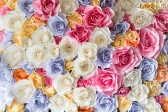 Picture of Roses