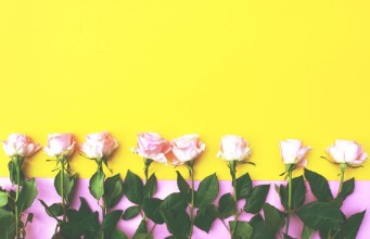 Bild von Pink and Yellow