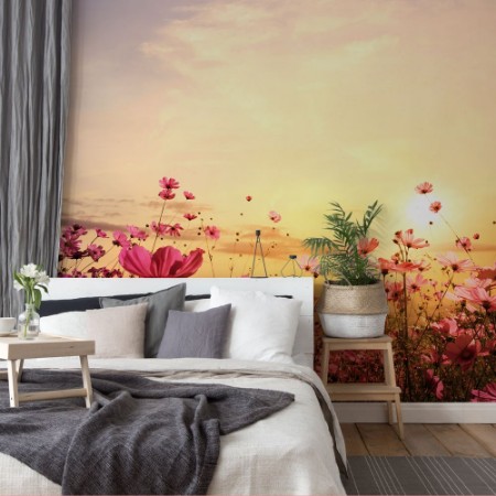 Picture of Cosmos Flower Field with Sunset