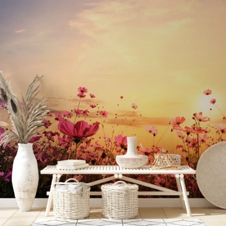 Picture of Cosmos Flower Field with Sunset