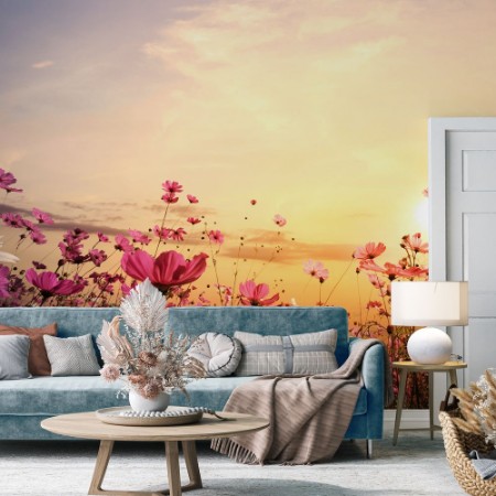 Picture of Cosmos Flower Field with Sunset