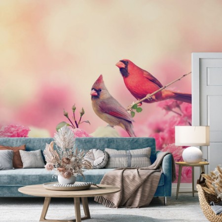 Picture of Northern Cardinals