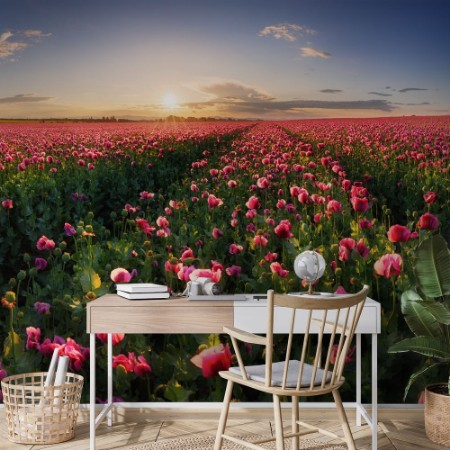 Bild på Poppy Field