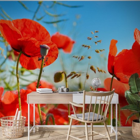 Bild på Poppies