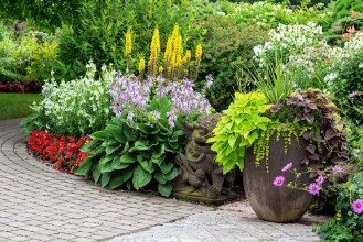 Bild von Summer Garden