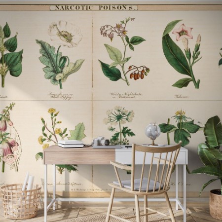 Picture of Vintage style illustration of Poisonous Plants