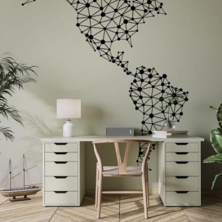 Afbeeldingen van Abstract American Network Map