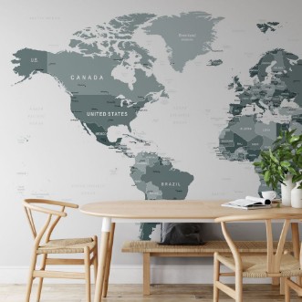 Afbeeldingen van Grayscale World Map