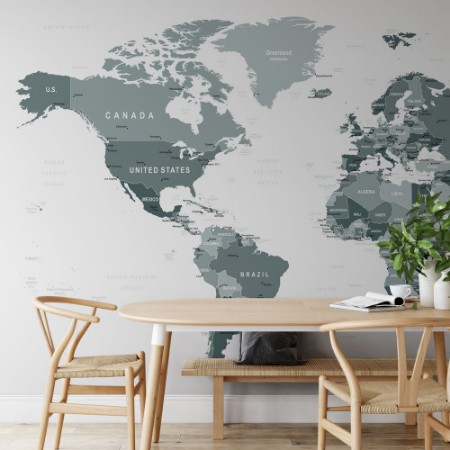 Image de Grayscale World Map