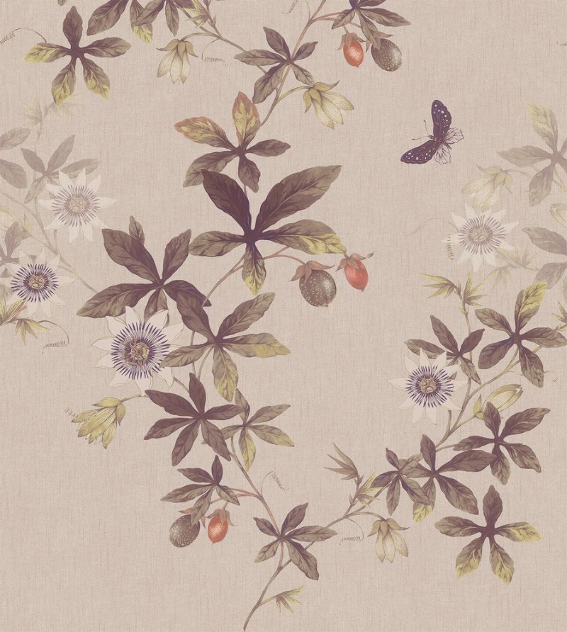 Picture of FT0524-539-01