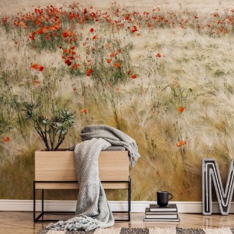 Bild på Summerfield