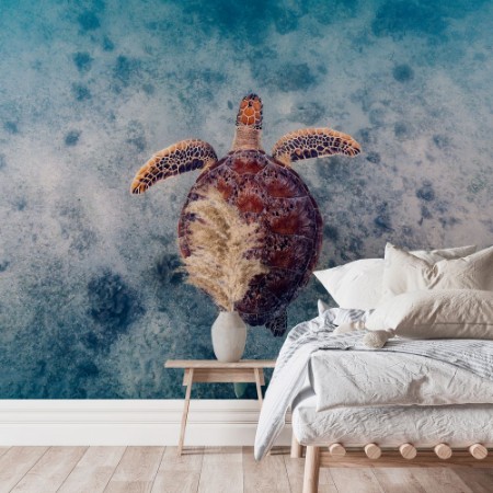 Picture of Australian Way