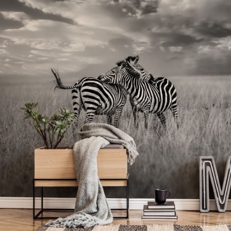 Afbeeldingen van Huddle