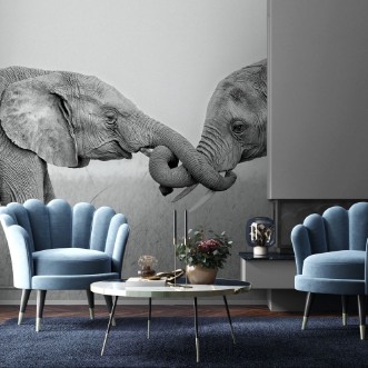 Picture of Confrontation