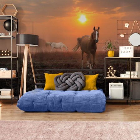 Picture of Autumn Morning