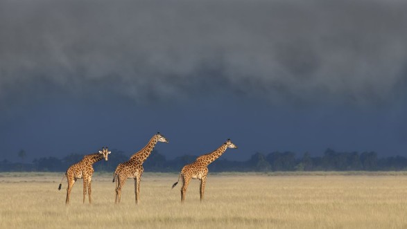 Image de Raining and Sunset