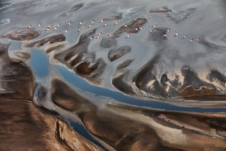 Picture of The Land