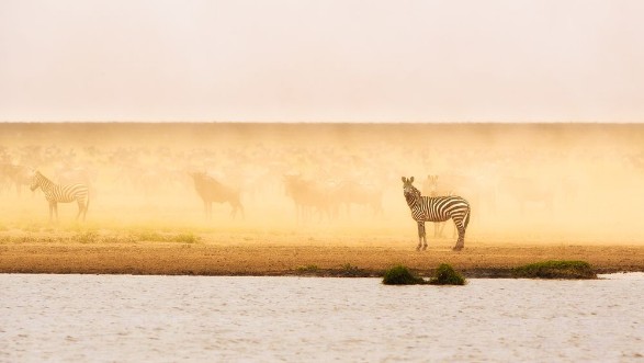 Image de This is Ndutu