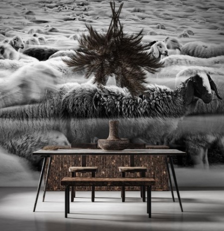 Picture of River Sheep