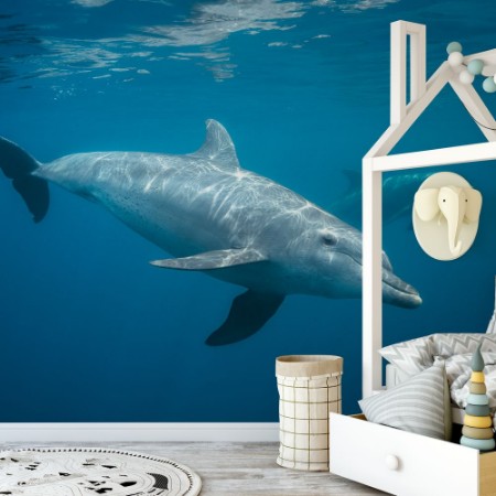 Picture of Nysgerrig delfin