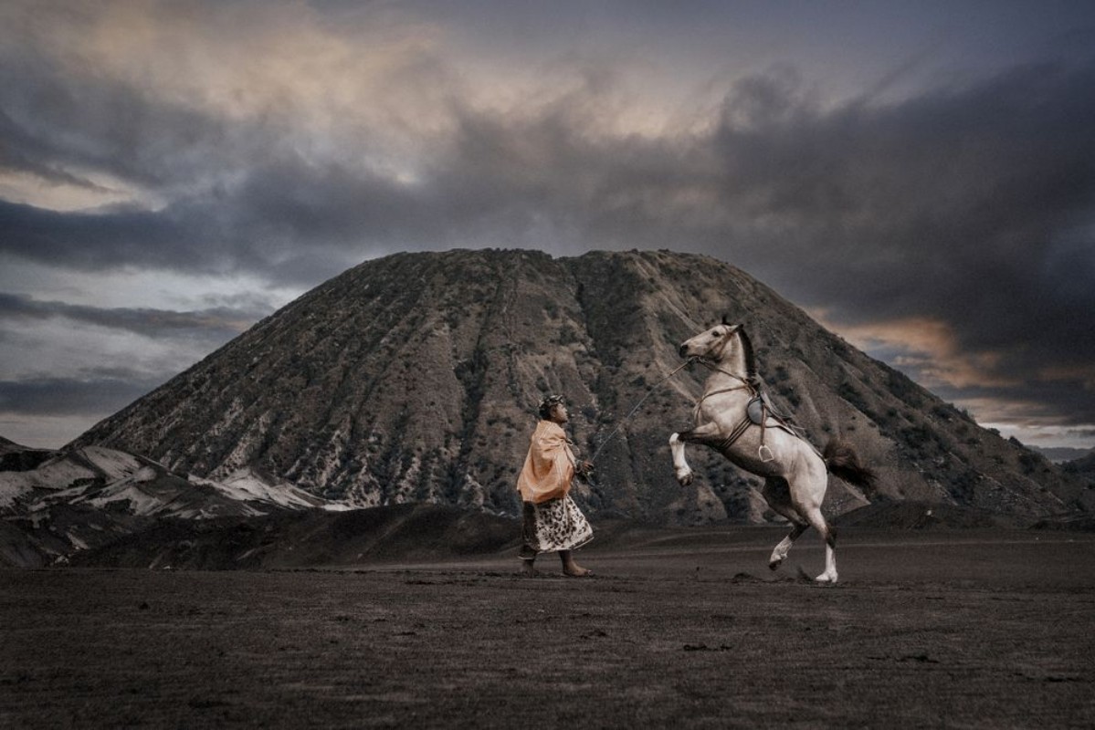 Picture of Dance With Me