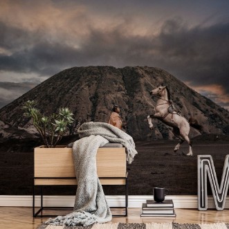 Picture of Dance With Me