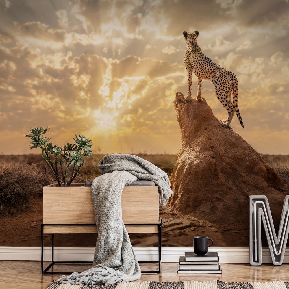 Bild på Sundown Cheetah