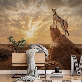 Obrazek Sundown Cheetah