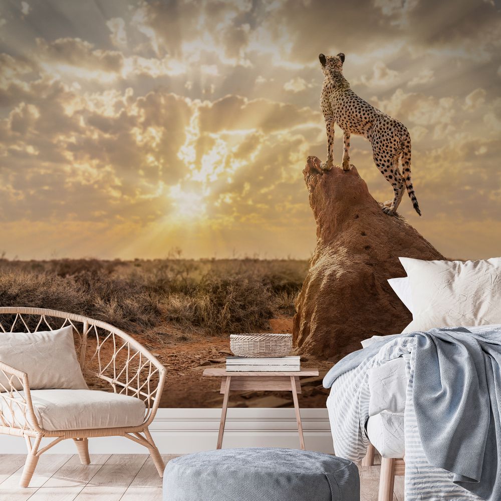 Bild på Sundown Cheetah