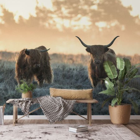 Bild på Three Highlanders