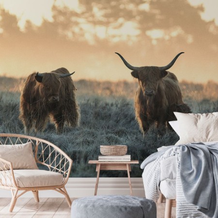 Afbeeldingen van Three Highlanders