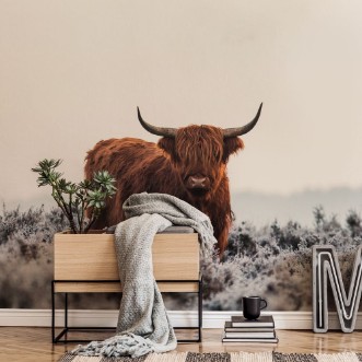 Picture of Highlander