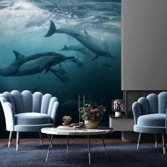 Afbeeldingen van Dolphine run