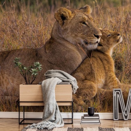 Picture of Baby Lion with Mother
